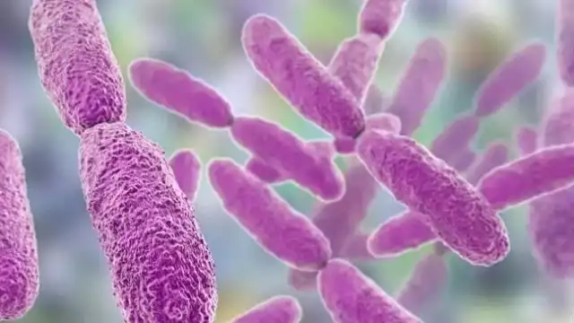 Hasta ahora, se han registrado 20 casos