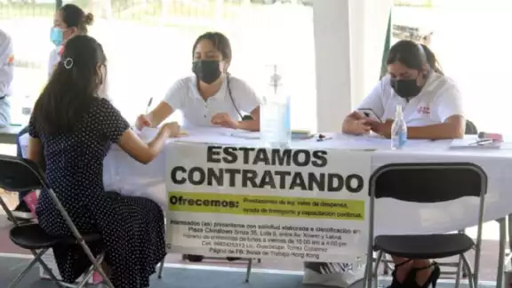 La tasa de desempleo en México disminuyó a 2.7% en el segundo trimestre de 2024 La tasa de desempleo en México disminuyó a 2.7% en el segundo trimestre de 2024