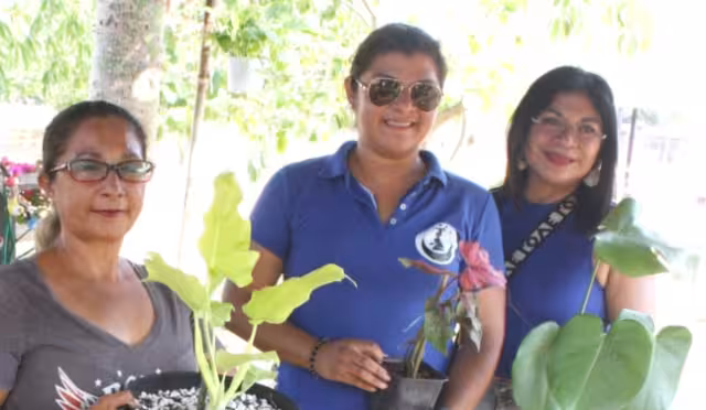 Adultos mayores han mostrado interés sobre el cuidado del medio ambiente