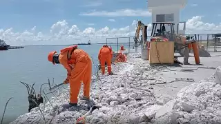 Deudas con proveedores grandes crean una reacción en cadena de descapitalización de PYMES