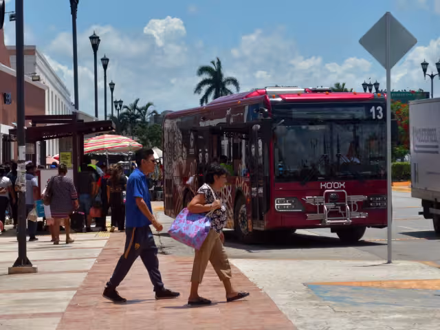 El transporte Ko´ox seguirá siendo gratuito hasta nuevo aviso en la “Red Troncal”.