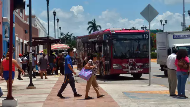 El transporte Ko´ox seguirá siendo gratuito hasta nuevo aviso en la “Red Troncal”.