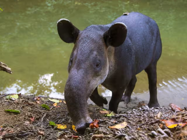 Un habitante bajo amenaza