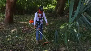 Recolectan 45 toneladas de basura en Boulevard Bahía de Chetumal 