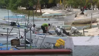 Redes ilegales amenazan la pesca de escamas en Champotón: Denuncian falta de vigilancia