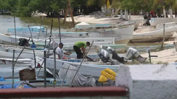 Pescadores continúan usando redes con mallas prohibidas en Champotón, afectando especies juveniles. Pescadores continúan usando redes con mallas prohibidas en Champotón, afectando especies juveniles.