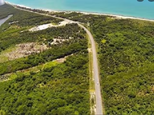 Las autoridades dicen que el fuerte tráfico ha dejado inservible la autovía desde hace tres años