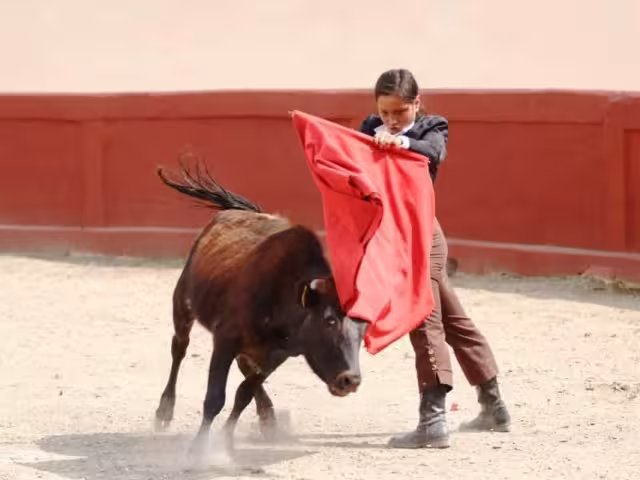Particularmente en Cozumel, Felipe Carrillo Puerto y José María Morelos se realizan eventos donde maltratan a los animales,