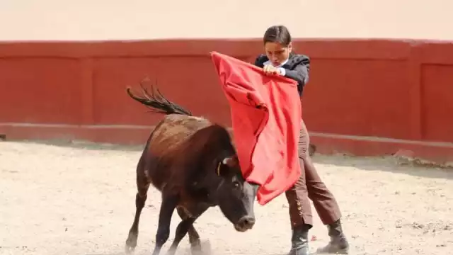 Particularmente en Cozumel, Felipe Carrillo Puerto y José María Morelos se realizan eventos donde maltratan a los animales,