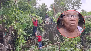 Vientos derriban árboles y destruyen el baño de una abuelita en Felipe Carrillo Puerto