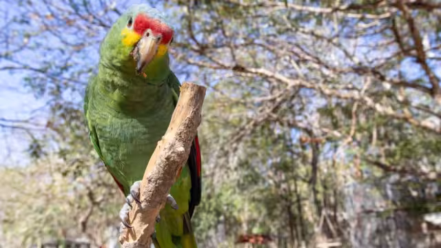 La ciudadanía tiene participación activa en el monitoreo