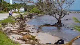 Afectaciones en Xcalak tras el paso de Sara
