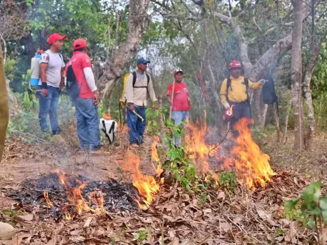 Acumula Campeche 15 incendios forestales en 2025