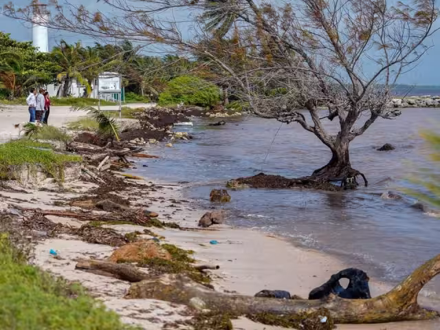 Tormenta tropical Sara causa afectaciones en Xcalak