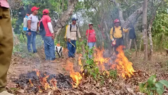 Acumula Campeche 15 incendios forestales en 2025