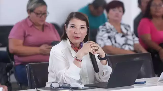 Esperan notificación de retiro de  regiduría de Kira Iris