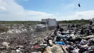 Altas temperaturas provocan incendios en basurero municipal de Othón P. Blanco