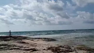 Cierran puerto y suspenden actividades de Punta Brava a Punta Allen.