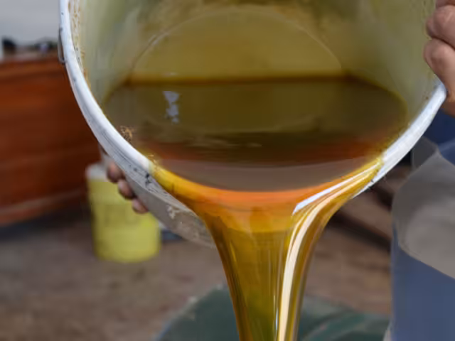 De 40 a 5 tambores: apicultura en caída libre por el desmonte