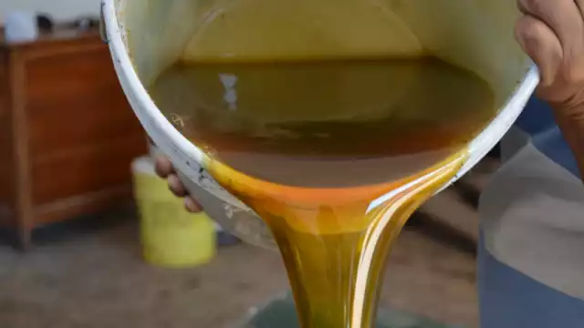 De 40 a 5 tambores: apicultura en caída libre por el desmonte