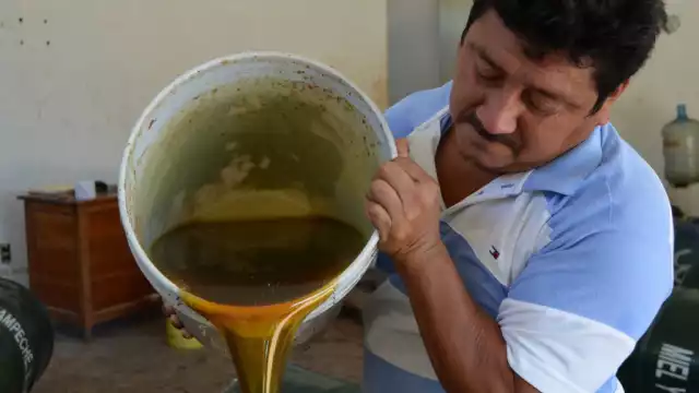 Apicultores enfrentan doble golpe: baja producción y precios bajos