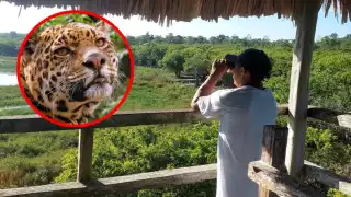 Ejidatarios de Popolnah, Yucatán, unen esfuerzos para conservar al jaguar 