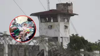 Exreclusos en Campeche tendrán refugio y venderán productos con marca propia  