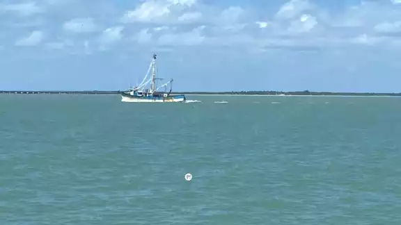 Campeche: líderes pesqueros denuncian abandono institucional y crisis en altamar Campeche: líderes pesqueros denuncian abandono institucional y crisis en altamar