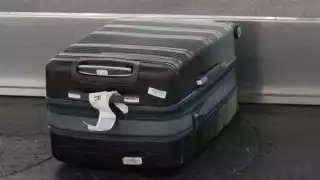 Interceptan más de 3 kilos de metanfetamina en el AICM, cuyo destino era Cancún