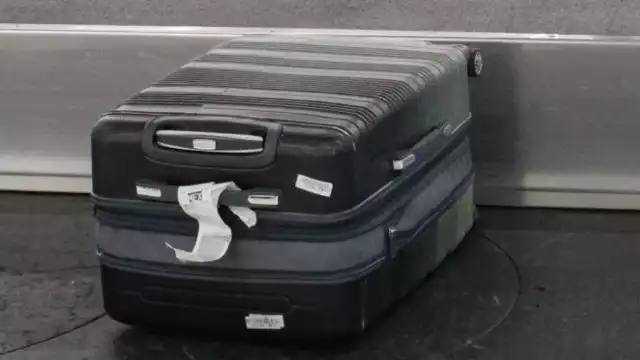 Diversos agentes policiacos se percataron del contenido del equipaje en el AICM