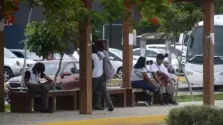 “Aprovechan su carencia económica”: Crimen organizado recluta a decenas de jóvenes en Quintana Roo