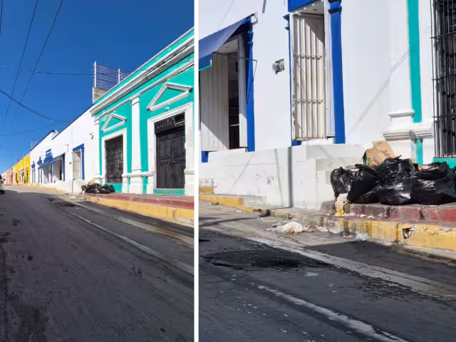 La falta de recolección de basura ha dejado las calles sucias, especialmente la calle principal, debido a los animales que esparcen los desperdicios.