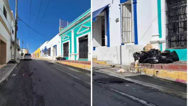 La falta de recolección de basura ha dejado las calles sucias, especialmente la calle principal, debido a los animales que esparcen los desperdicios.