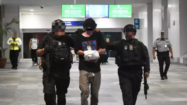 Tras un reporte a una plataforma por material de menores, se encontraron más de mil 500 archivos conformados por imágenes y videos