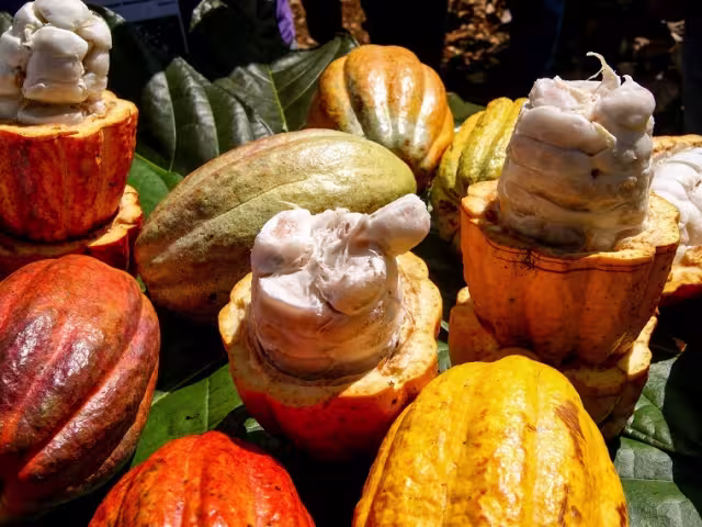 Para el mercado de Japón´se destinarán productos comestibles, y para Estados Unidos serán las diez empresas