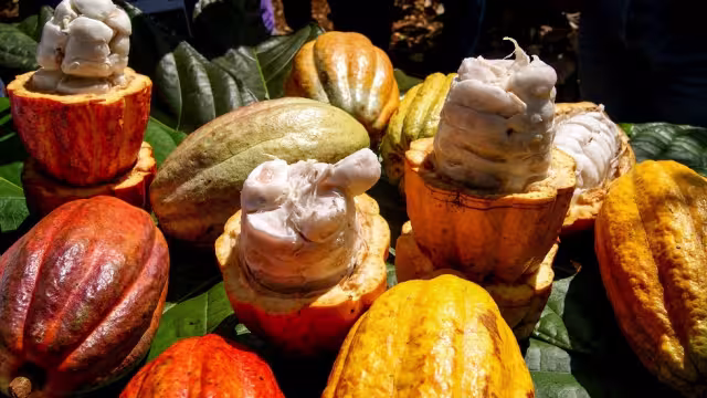 Para el mercado de Japón´se destinarán productos comestibles, y para Estados Unidos serán las diez empresas