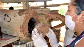  Trabajo y sacrificio:  Legado de más de 20 años de una  emprendedora maya  con ayuda de la apicultura 