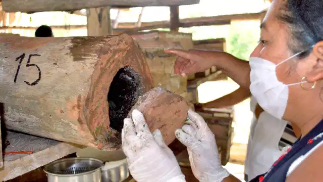 María Erlinda ha logrado salir adelante y ofrecer educación  a sus hijos, mientras conserva la abej melipona