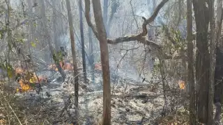Incendio activo en Ukum, Hopelchén moviliza a tres brigadas de combate