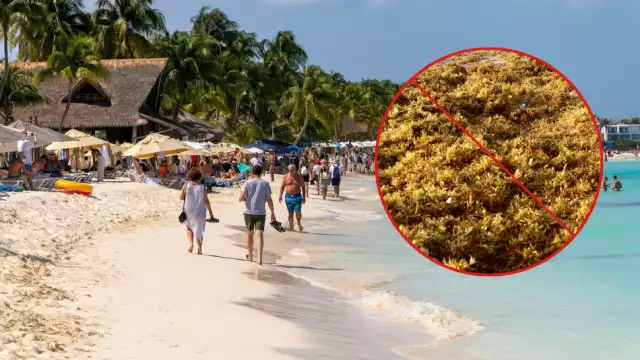 Debido a la ubicación geográfica de la isla y las labores de limpieza, el sargazo casi no llega