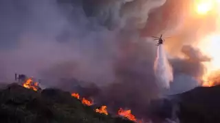 ¿Qué provocó los incendios de Los Ángeles? Todo lo que debes saber