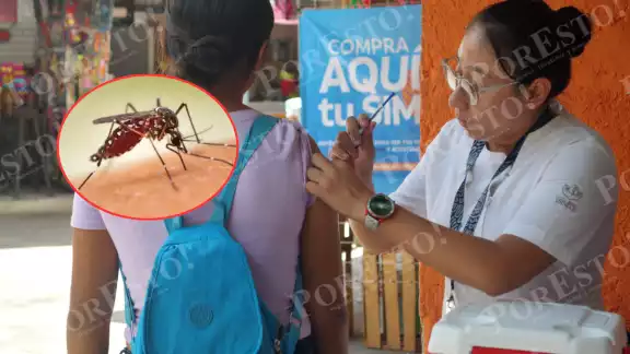 Lluvias reactivan el riesgo de dengue en Campeche: médicos piden no bajar la guardia