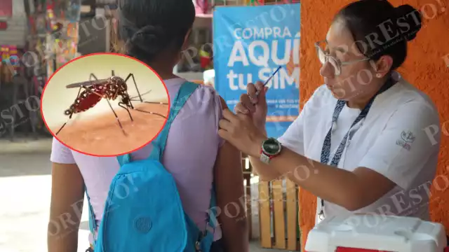 Lluvias reactivan el riesgo de dengue en Campeche: médicos piden no bajar la guardia