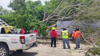 Temporada de huracanes en Campeche: ¿Qué hacer cuando se acerca un ciclón?