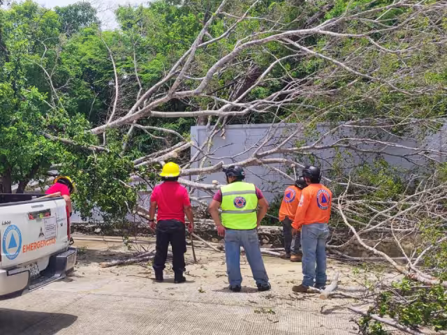 ¿Cómo prepararse antes de que llegue un ciclón?