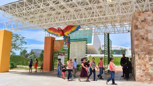 Parque Ximbal ofrece clases físicas accesibles durante el verano.