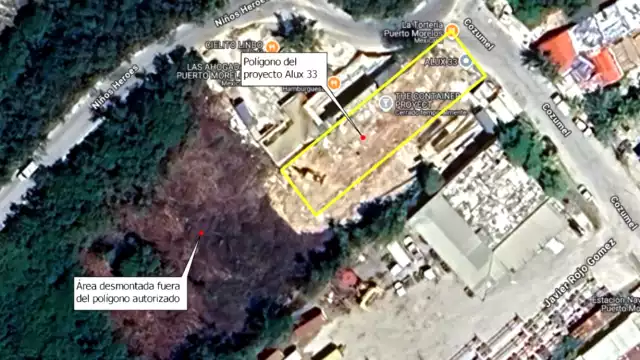 En el 2022, la SEMA dijo que el predio para el desarrollo inmobiliario debería tener una veda de 20 años, unos meses después avaló la MIA.