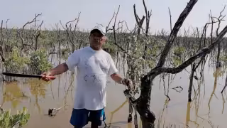 Ejidatarios alertan sobre posibles abusos en programas de carbono