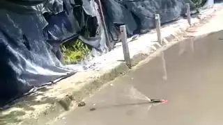 Vecinos de Tulum acusan a CAPA de ignorar fuga  de agua