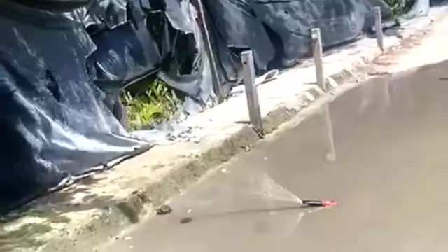 Los habitantes aseguran haber reportado el problema, pero no ha habido solución